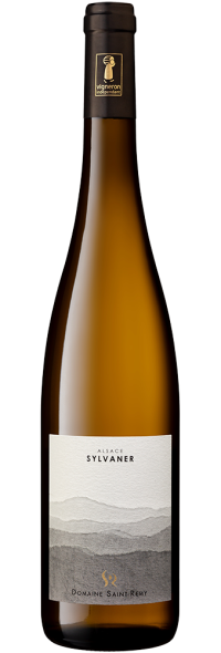 Sylvaner