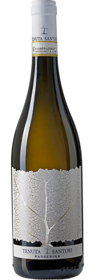 Bottle of Offida Passerina