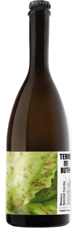 Bottle of Frizzante Bianco